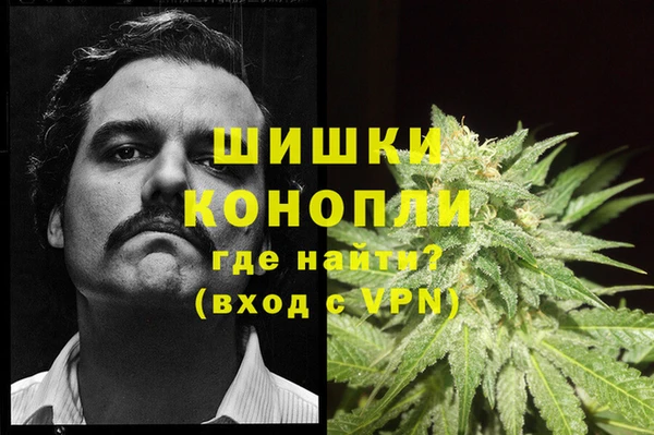 шишки Балахна