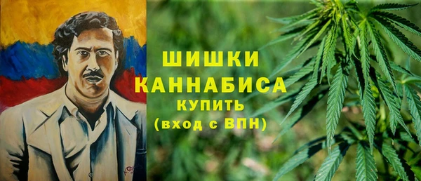 шишки Балахна