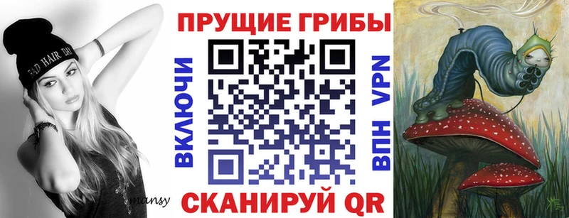 ссылка на мегу маркетплейс  Усть-Лабинск  Псилоцибиновые грибы Psilocybe 