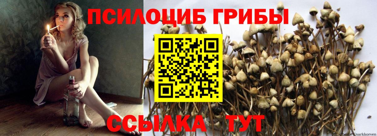 Псилоцибиновые грибы прущие грибы Усть-Лабинск